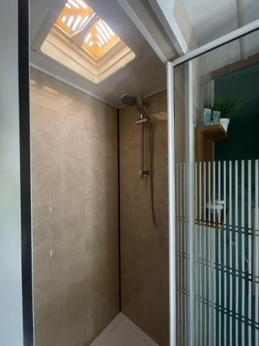 a bathroom with a shower with a skylight at Hills View Accommadation in Borrisoleigh