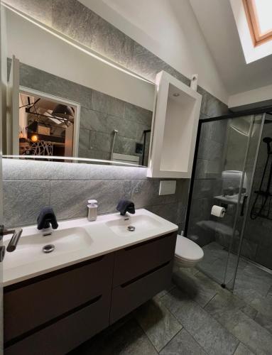 a bathroom with a sink and a toilet and a mirror at Maison Stanislas Spa Suites in Nancy