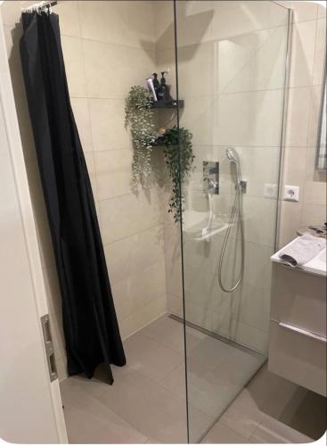 a bathroom with a shower with a glass door at studio siesta in Pétange