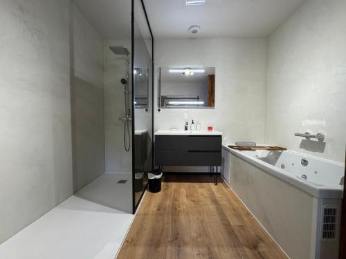 a bathroom with a shower and a sink and a tub at Les nids de la chevêche in Saint-Pierre-de-Juillers