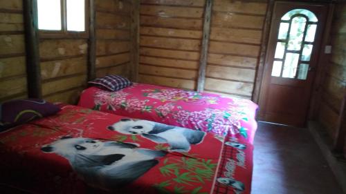 Yanama的住宿－Hospedaje Illariy，两张床位于带两只狗的房间