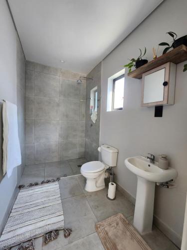 a bathroom with a toilet and a sink at Windsor Cottage in Avondale