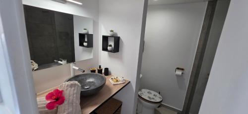 a bathroom with a sink and a mirror at STUDIO La Diamantinoise in Le Diamant