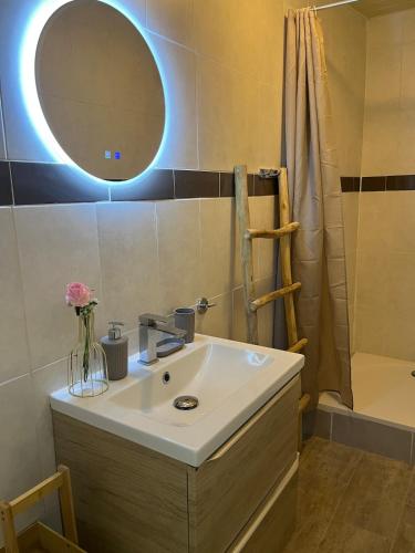a bathroom with a sink and a mirror and a tub at Le Cocon d aurélie in Thèzan-lès-Béziers