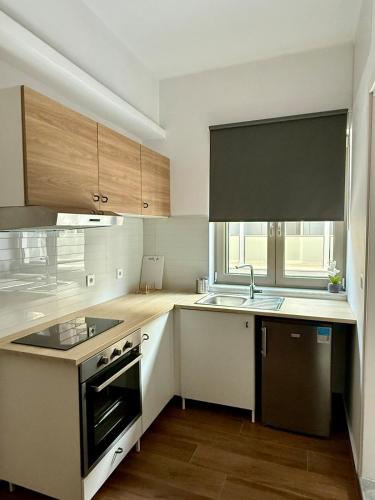 DownTown Small Apartment 3
