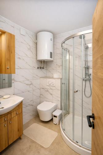 a bathroom with a shower and a toilet and a sink at Hiša Žičanka in Loče pri Poljčanah