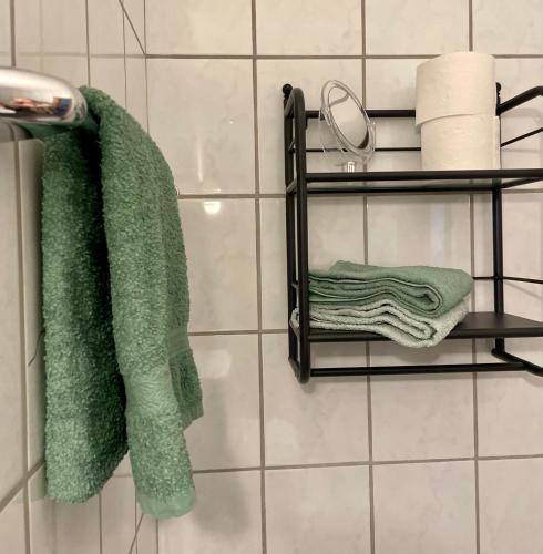 a green towel hanging on a towel rack in a bathroom at Heideapartments Hillmer in Bispingen
