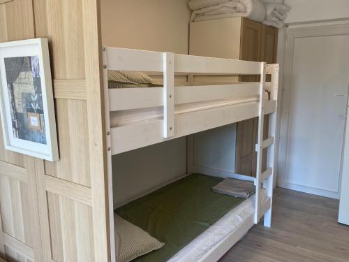 a bunk bed in a room with a bunk bed in a room at Les OLIVETTES CLIMATISÉES d'UZES à Garrigues Sainte Eulalie in Garrigues-et-Sainte-Eulalie