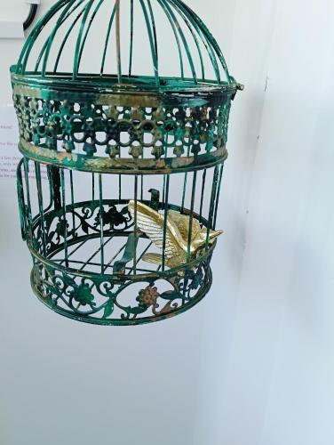 a bird cage with a bird inside of it at Apartament Pelicanul in Tulcea