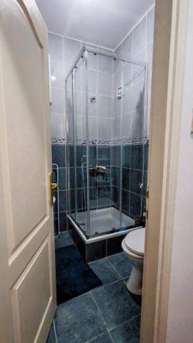 a bathroom with a shower and a toilet at Koviljača park in Banja Koviljača