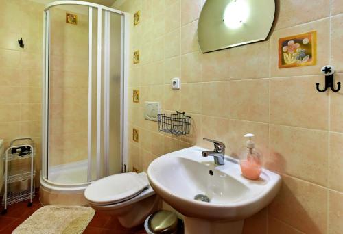 a bathroom with a sink and a toilet and a shower at Penzion Arosa in Růžová