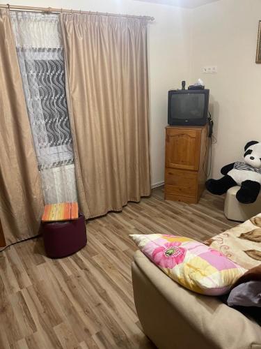 a living room with a couch and a tv at Apartament Crângului Dej in Dej