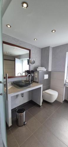 a bathroom with a sink and a toilet and a mirror at Berggasthof Immenstein in Bühl
