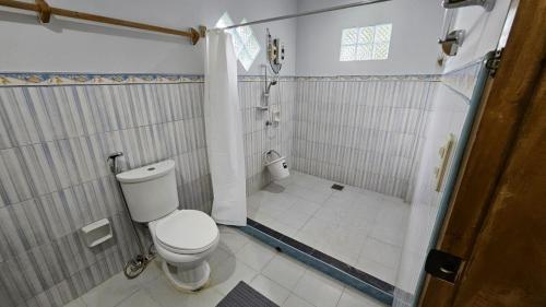 a bathroom with a toilet and a shower at Agta Beach Resort in Biliran