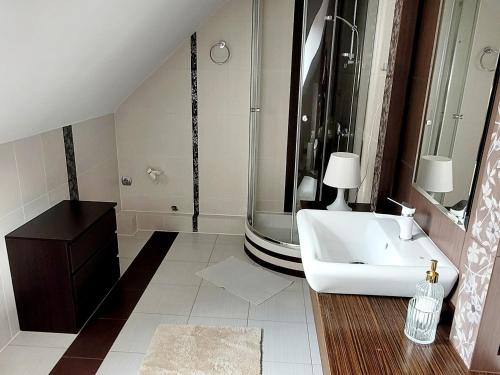a bathroom with a sink and a shower at Apartament Nad Lodziarnią in Wydminy