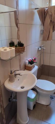 a bathroom with a white sink and a toilet at Villa Sia in Dassia