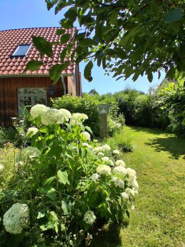 a garden with white flowers in front of a house at hej atelier Ferienwohnung in Heiligenthal