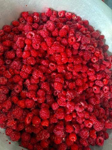 a pile of raspberries in a bowl at Darhan Guest House in Darkan