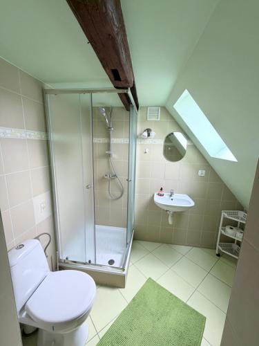 a bathroom with a shower and a toilet and a sink at Agroturystyka Pod Jesionami in Lądek-Zdrój