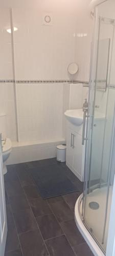 a bathroom with a shower and a toilet and a sink at The Rocks in Westward Ho