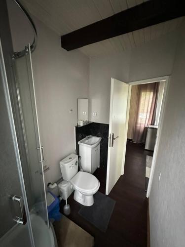 a bathroom with a white toilet and a shower at Guest House Villa Arkadia in Warsaw