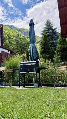 a large umbrella sitting on a table in the grass at Elysium House in Băile Herculane