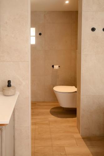 a bathroom with a toilet and a sink at Ons Hofke in Lubbeek