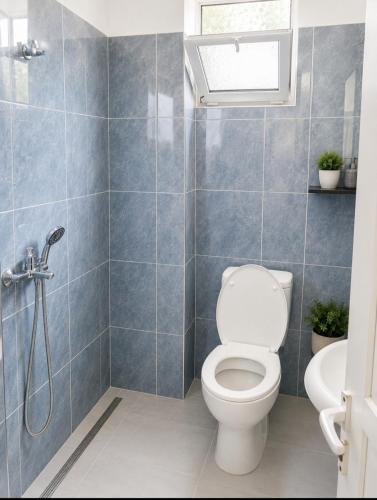 a bathroom with a toilet and a shower at Wonderful Sea View in Borsh