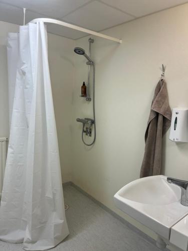 a bathroom with a shower curtain and a sink at Ängsstugan in Orkelljunga