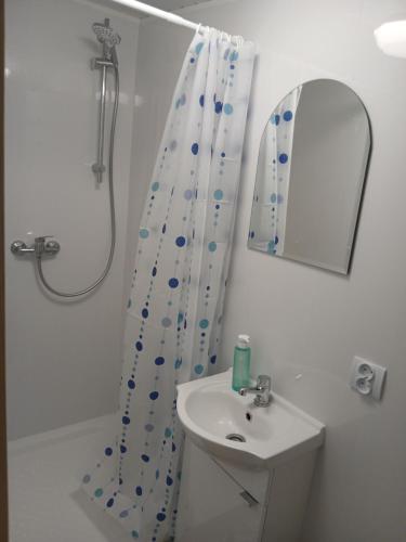 a bathroom with a shower and a sink and a mirror at Pod Wierzba in Dobrzyki
