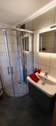 a bathroom with a shower and a sink at Ferienhaus Margarete in Dankerode