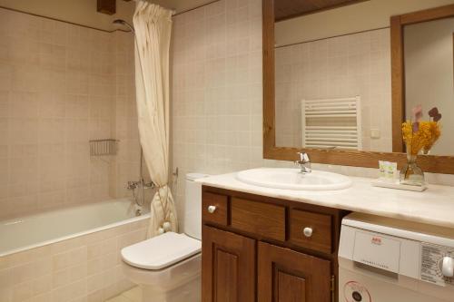 een badkamer met een wastafel, een toilet en een spiegel bij Val de Ruda 46 by FeelFree Rentals in Baqueira-Beret