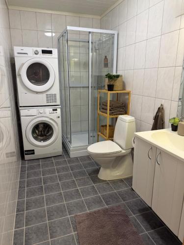 a bathroom with a washing machine and a toilet at Gateway to Jotunheimen 4 Guests in Øvre Årdal