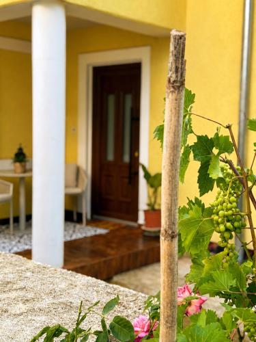 Studio apartman Leni