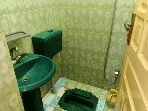 a bathroom with a green toilet and a sink at Crown Valley Guest House in Lahore
