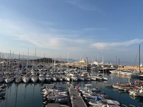 Les Beaux Jours du Vieil Antibes photo 7
