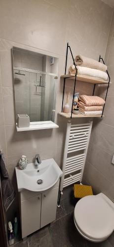 a bathroom with a sink and a toilet and a mirror at MonteMare Holiday home in Lič