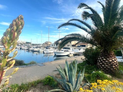 Studio 321, Port Vénus, Village Naturiste