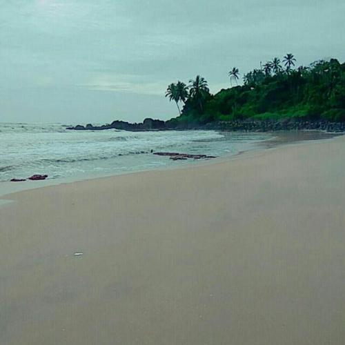 a sandy beach with palm trees and the ocean at KK Heritage in Kannur
