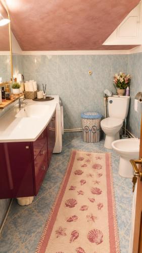 a bathroom with a sink and a toilet at Best view house in Orşova