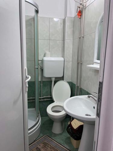 a small bathroom with a toilet and a sink at Krapce - Lake View Apartments in Star Dojran