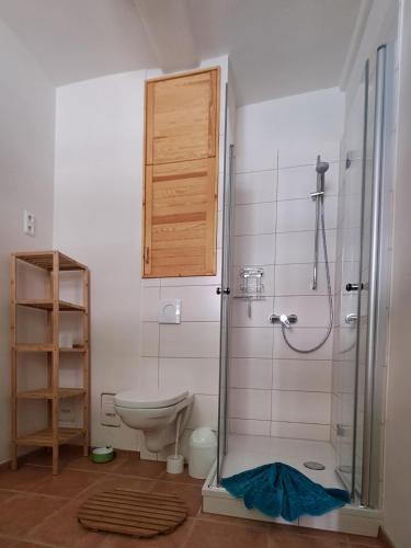 a bathroom with a toilet and a glass shower at Oben im Selketal Parterre in Harzgerode
