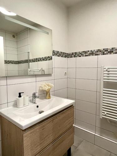 a bathroom with a sink and a mirror at Appartement Moutiers Centre in Moutiers
