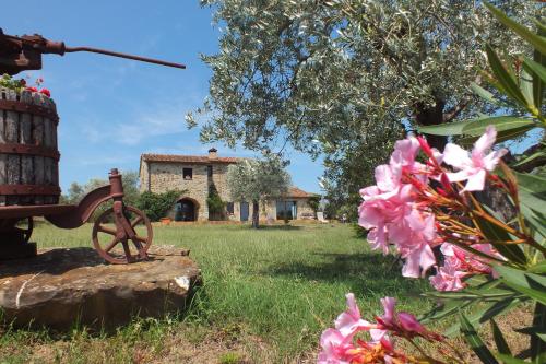 a house in the background with pink flowers in the foreground at Casetta dell`Uliveto in Macchiascandona