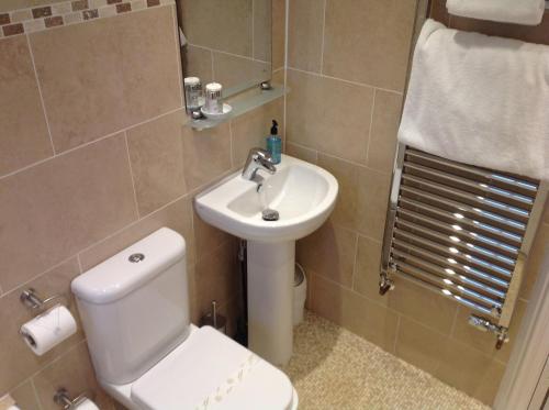 a bathroom with a toilet and a sink at Crich Lane Farm in Alfreton
