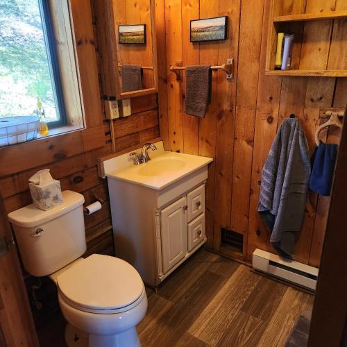 a bathroom with a toilet and a sink at Pine Hill FLX Retreat in Cohocton