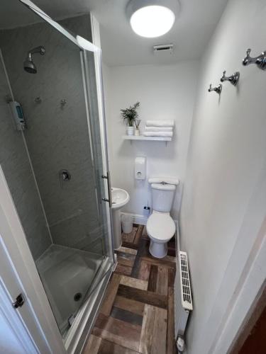 a bathroom with a shower and a toilet and a sink at A & B Guest House Cambridge in Cambridge