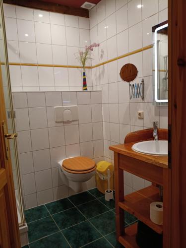 a bathroom with a toilet and a sink at Ferien am Schloss - Wohnung 2 "die Maus", Ferienwohnung am Badesee in Behren-Lübchin