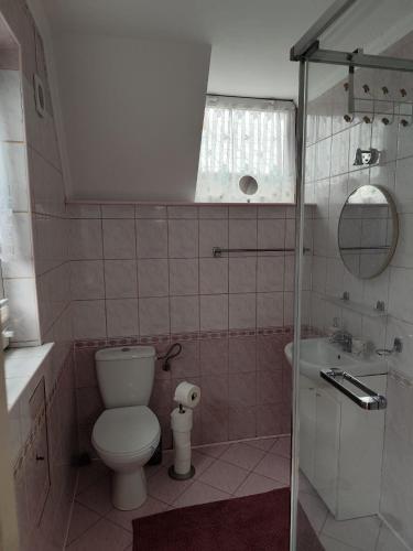 a bathroom with a toilet and a sink and a mirror at U Cecylii in Rowy