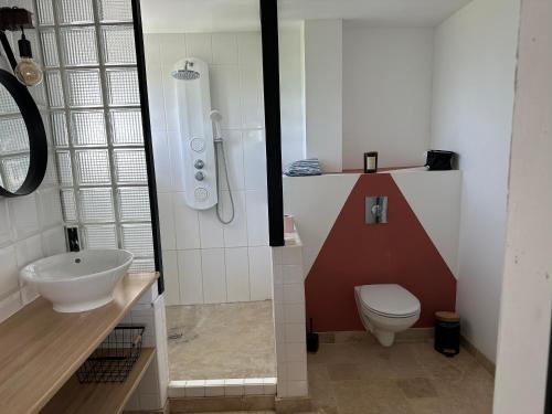 a bathroom with a toilet and a sink and a shower at Le Petit Moineau in Arthon